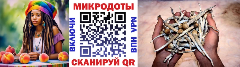 Галлюциногенные грибы ЛСД  купить наркотики цена  Новопавловск 