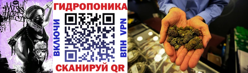 Бошки Шишки Bruce Banner Новопавловск